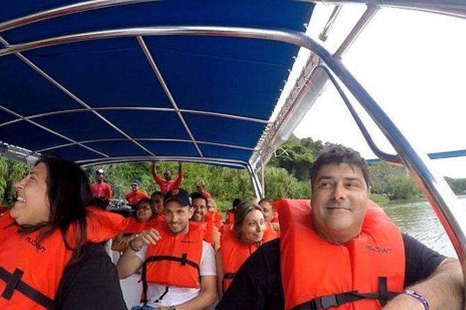 Saona Island VIP Full Day All Inclusive Excursion - Key Points