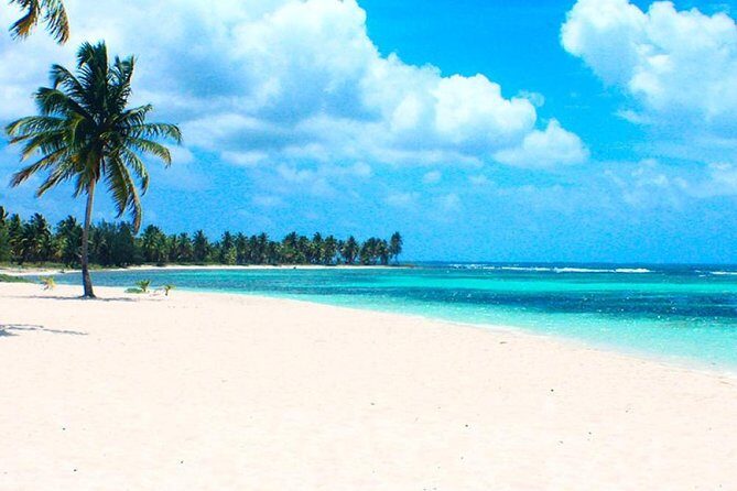 Saona Island VIP Full Day All Inclusive Excursion - Transportation and Group Size