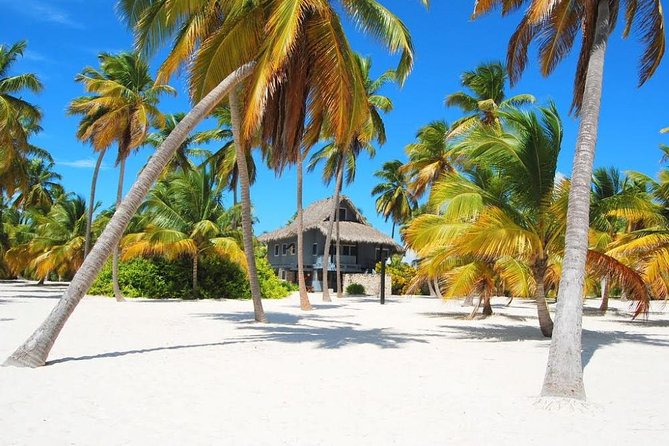 Saona Island VIP - Full Day Excursion - Accessibility Features