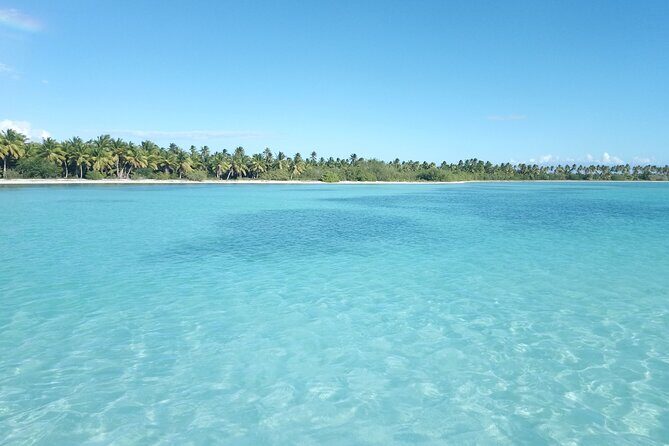 Saona, Mano Juan, Canto de la playa away from the tourist crowds - Who This Tour Is Perfect For