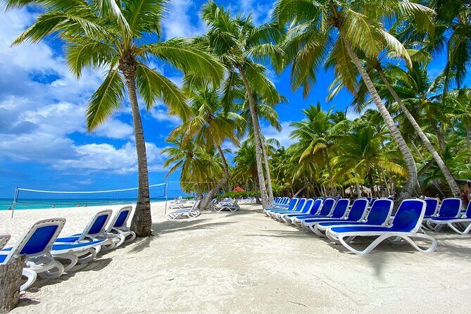 Saona Private Tour with Own Guide and Transport from Punta Cana - Price and Value