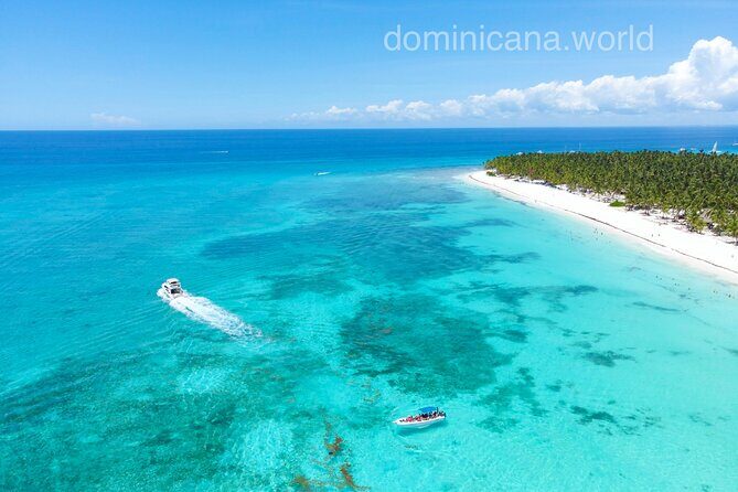 Saona Private Tour with Own Guide and Transport from Punta Cana - Who Should Consider This Tour?