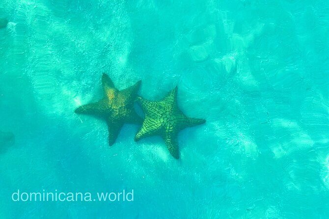 Saona Private Tour with Own Guide and Transport from Punta Cana - FAQ