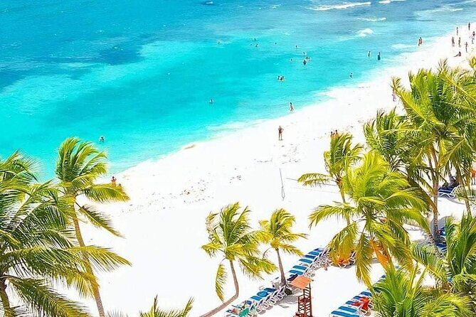 Saona Relax Tour - Who Should Consider This Tour?