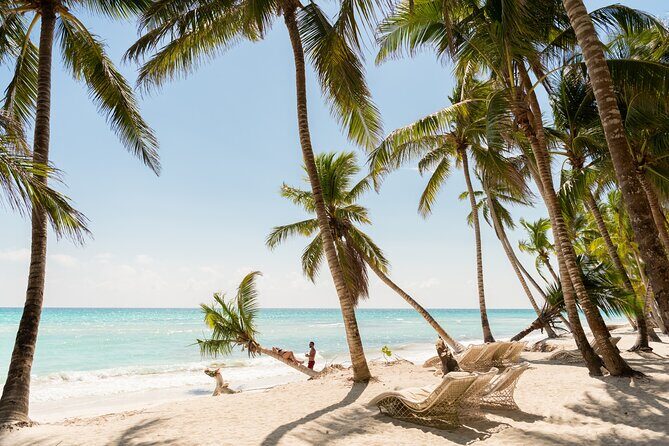 Saona Snorkel Private Cruise with Food and Drinks - A Deep Dive into the Experience