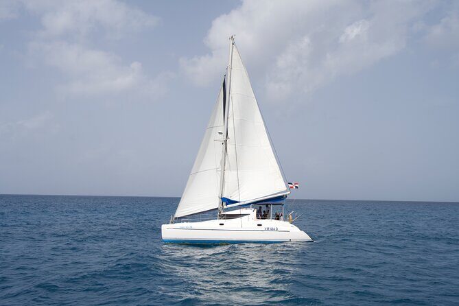 Saona Snorkel Private Cruise with Food and Drinks - Who Should Consider This Tour?