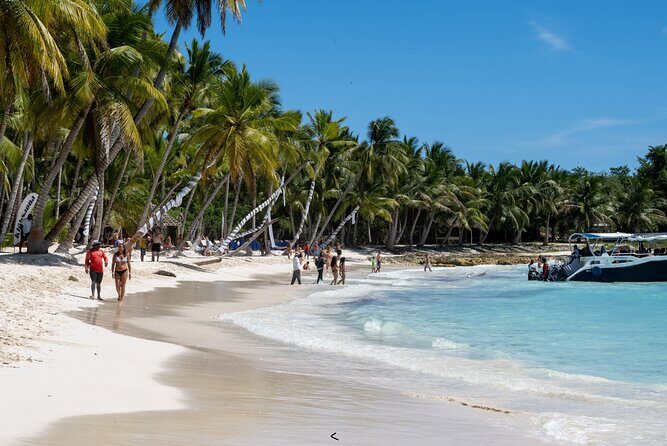 Saona Snorkel Private Cruise with Food and Drinks - The Sum Up