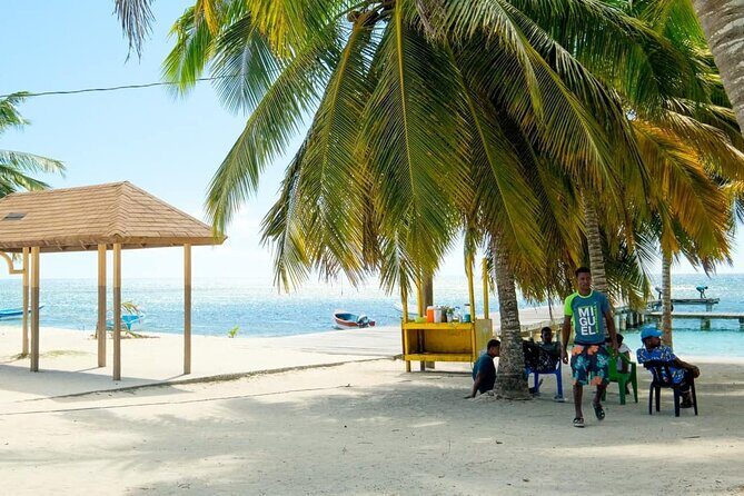 Saona VIP 3 Beaches, Natural Pool & Mano Juan Turtle Sanctuary - What We’ve Learned from the Reviews