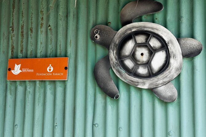 Saona VIP 3 Beaches, Natural Pool & Mano Juan Turtle Sanctuary - Frequently Asked Questions