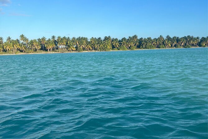 Saône Catamaran Island - speedboat, open bar and lunch - An In-Depth Look at the Tour Experience