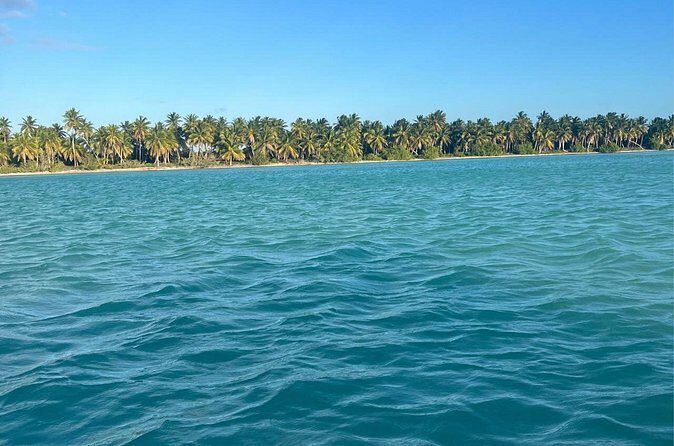 Saône Catamaran Island - speedboat, open bar and lunch - Final Word