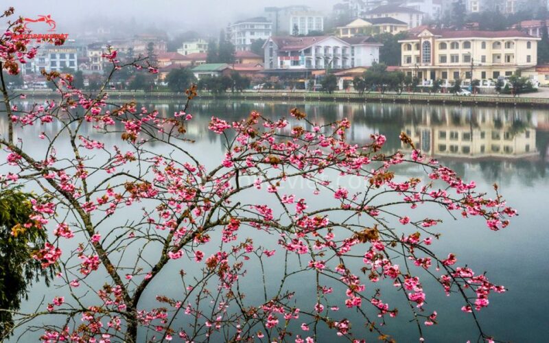 Sapa 2 Days 1 Night - Classic Hikking Tour - Inclusions and Amenities