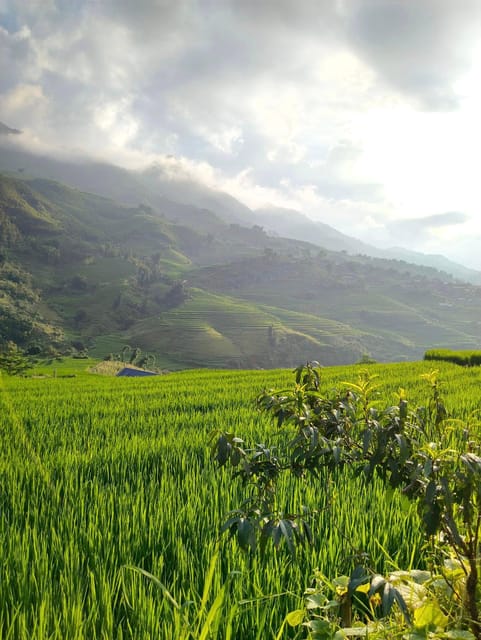 SAPA: 2 DAYS Walking & 1 Night at Homestay With LOCAL GUIDE - Essential Packing List for Your Trek