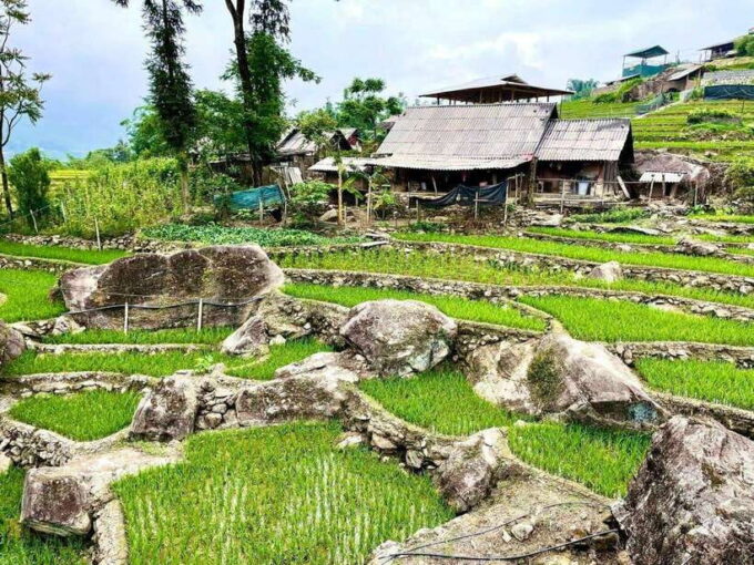 SAPA: 2 DAYS Walking & 1 Night at Homestay With LOCAL GUIDE - Frequently Asked Questions