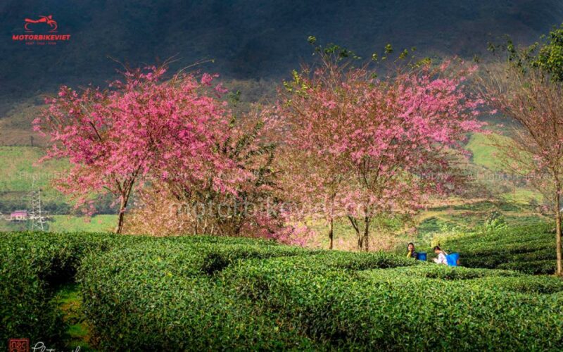 SAPA 3 DAYS 2 NIGHTS PACKAGE - Key Points