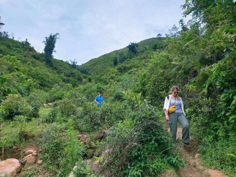 Sapa: Amazing Suoi Ho, Ma Tra Villages Private Day Trip - Itinerary and Activities