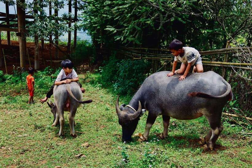 Sapa: Discover the Secrets of Red Dao Herbal Bath - Discover the Culture of the Black Hmong and Red Dao Tribes