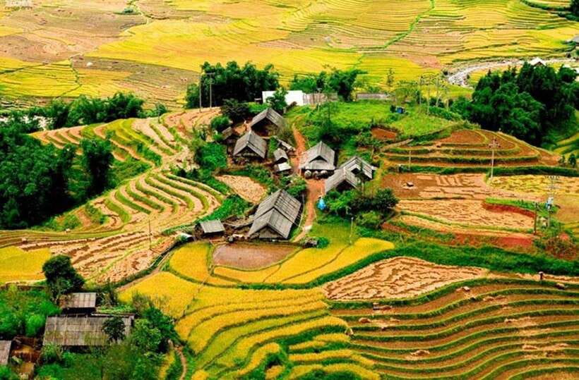 Sapa: Eco Adventure Terrace Fields and Local Villages Trek - Overview of the Sapa Eco Adventure