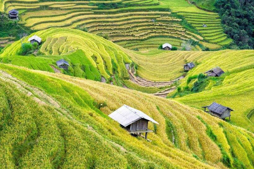 Sapa: Eco Adventure Terrace Fields and Local Villages Trek - Trekking Through the Lao Chai Sang Landscape