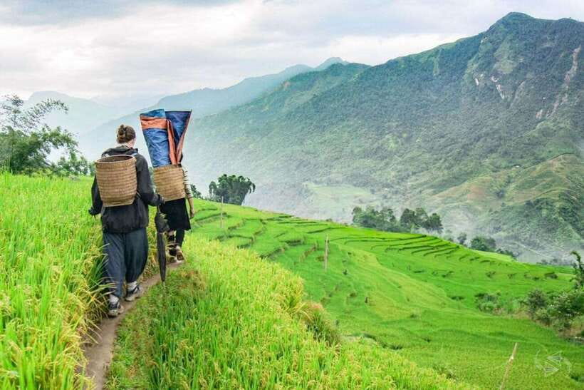 Sapa: Eco Adventure Terrace Fields and Local Villages Trek - Discovering the Dzay Minority in Ta Van Village