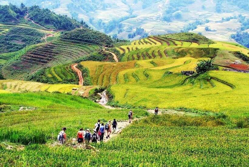 Sapa: Eco Adventure Terrace Fields and Local Villages Trek - Customer Insights and Highlights