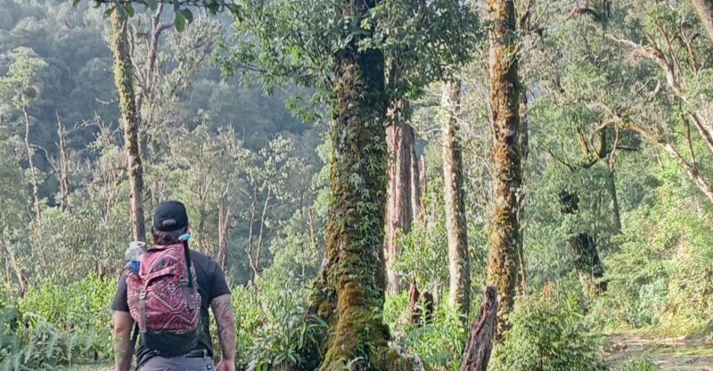 Sapa: Fansipan 1 Day Trip With Local Experts - Key Points