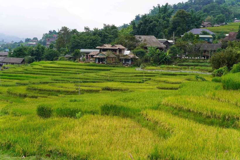 Sapa: Full-Day Hike to Ta Phin & Cat Cat Village With Lunch - Overview of the Full-Day Hike