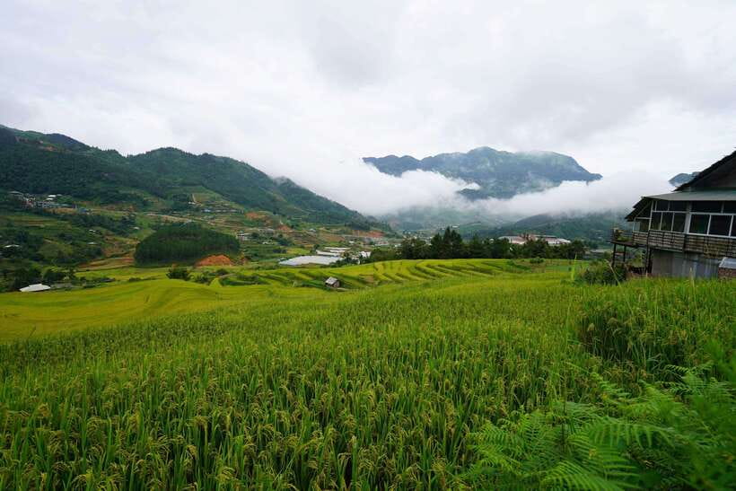 Sapa: Full-Day Hike to Ta Phin & Cat Cat Village With Lunch - What to Expect During the Hike