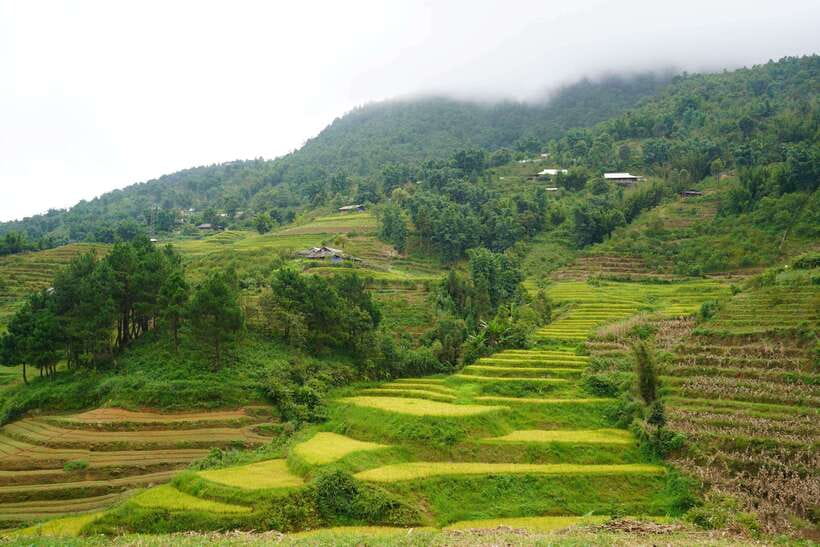 Sapa: Full-Day Hike to Ta Phin & Cat Cat Village With Lunch - Inclusions and What to Bring