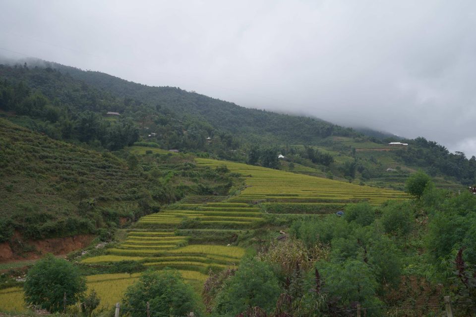 Sapa: Full-Day Hike to Ta Phin & Cat Cat Village With Lunch - Frequently Asked Questions