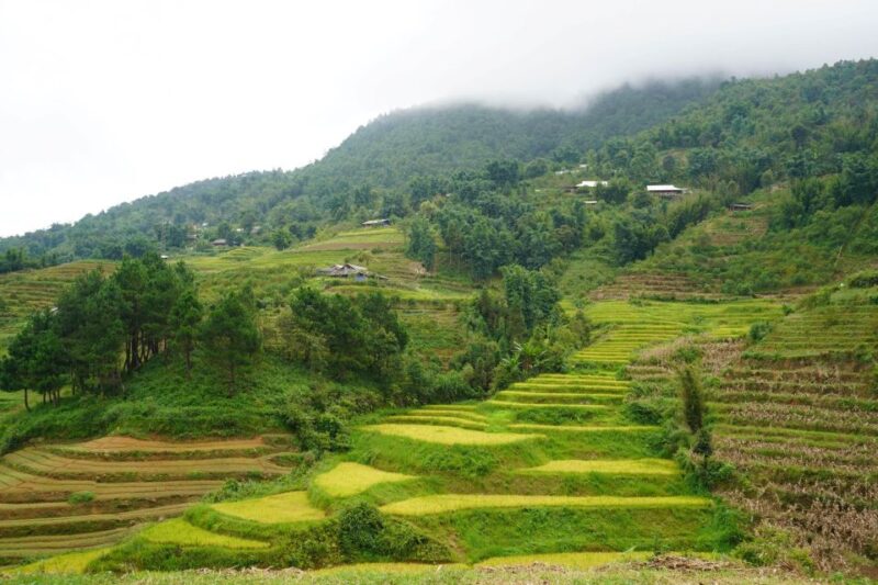 Sapa Full Day Trip to Ta Phin - Cat Cat Village With Lunch - Itinerary Details