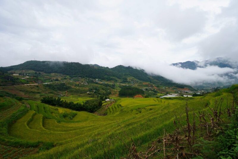 Sapa Full Day Trip to Ta Phin - Cat Cat Village With Lunch - Transportation Options