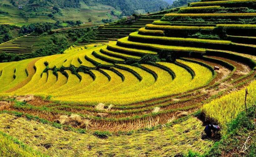 Sapa: Half Day Treck To Visit Y Linh Ho , Lao Chai, Ta Van - Activity Overview