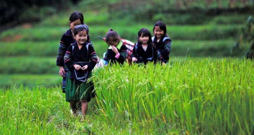 Sapa: Half Day Treck To Visit Y Linh Ho , Lao Chai, Ta Van - Inclusions and Exclusions