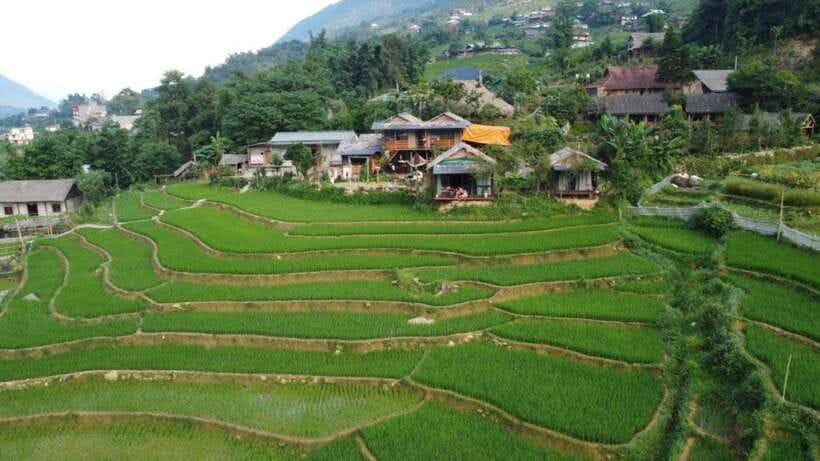 Sapa: Half Day Treck To Visit Y Linh Ho , Lao Chai, Ta Van - Important Information
