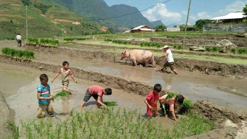 Sapa: Half Day Treck To Visit Y Linh Ho , Lao Chai, Ta Van - Customer Reviews