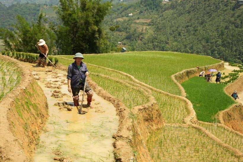 Sapa: Half Day Treck To Visit Y Linh Ho , Lao Chai, Ta Van - Preparing for the Trek