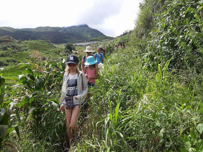 Sapa: Love Silver Waterfall, LonelyTree in Heaven-Rice Field - Tips for an Enjoyable Experience