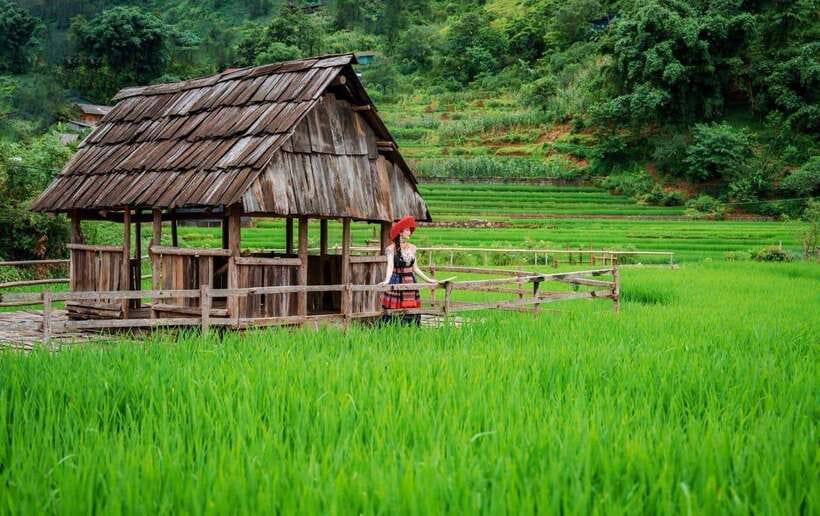 Sapa Motorbike 1 Day Trip - Transportation and Group Size