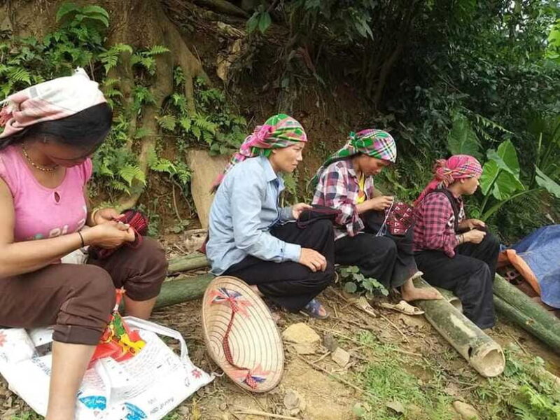 Sapa: Private Trek to Muong Hoa Valley - Scenic Views of Rice Terraces