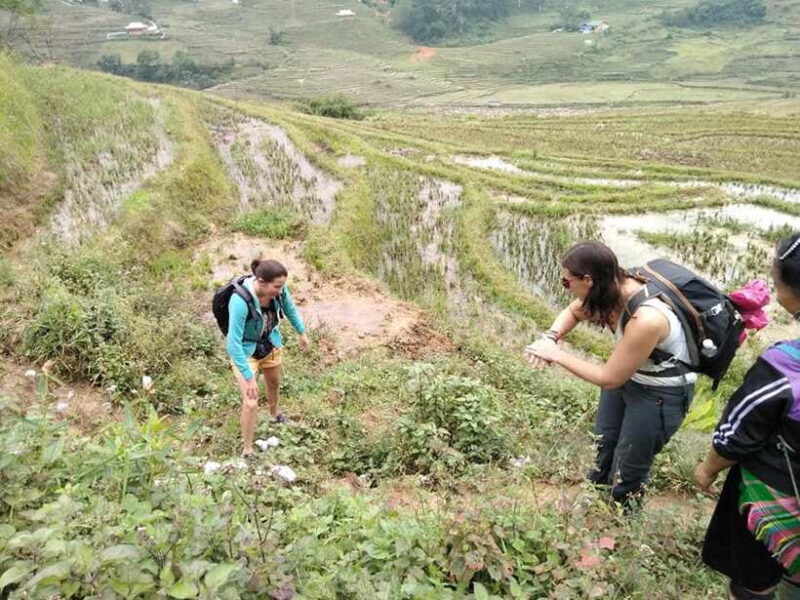 Sapa: Private Trek to Muong Hoa Valley - Inclusions and What to Expect