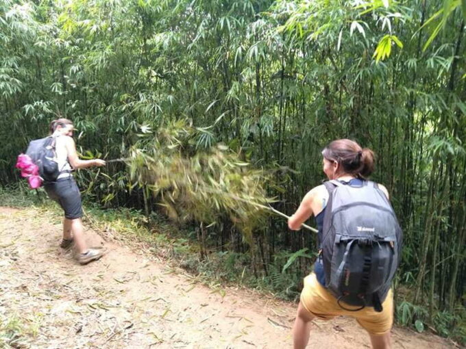 Sapa: Private Trek to Muong Hoa Valley - Important Information for Travelers