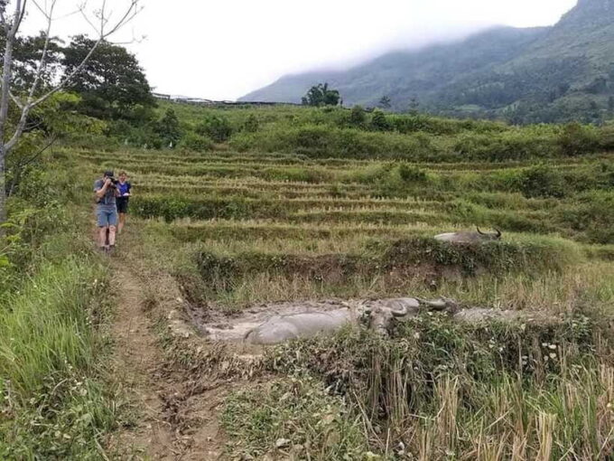 Sapa: Private Trek to Muong Hoa Valley - Customer Reviews and Feedback