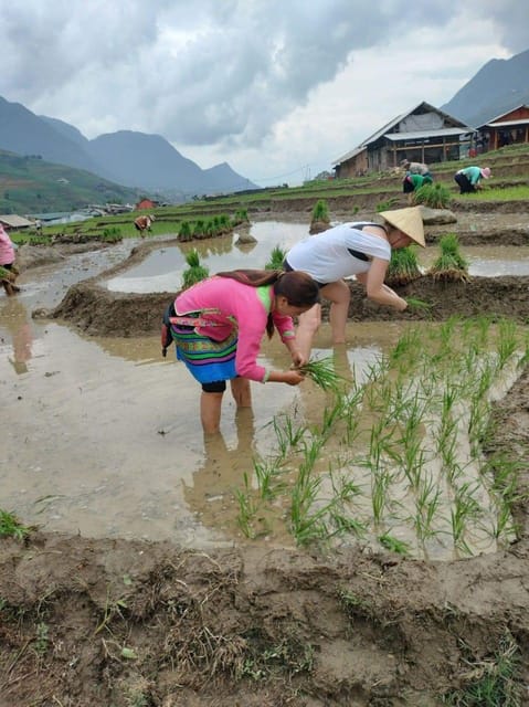 Sapa Small Groupe Activities: 1 Day Trek - Meet the Locals - Dining Experience