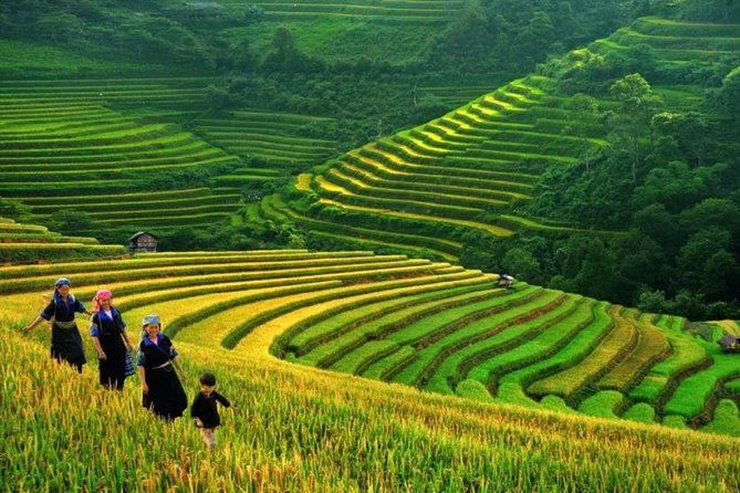 Sapa Trek 3 Days 3 Nights Small Group Tour - Homestay and Hotel From Hanoi - Itinerary Overview