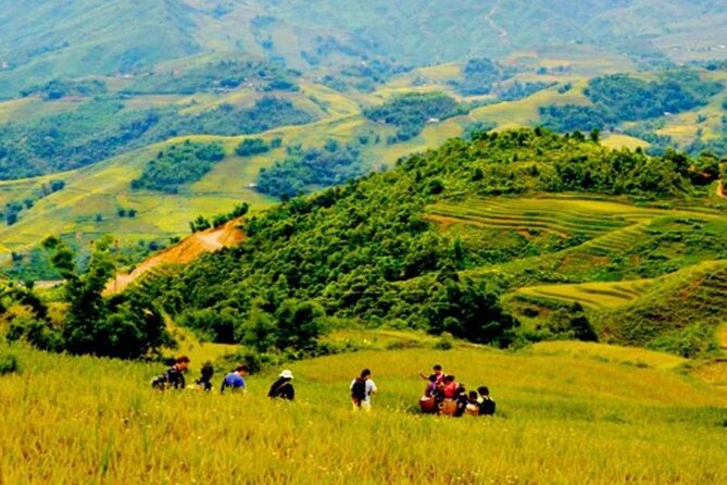Sapa Trek 3 Days 3 Nights Small Group Tour - Homestay and Hotel From Hanoi - Accommodation Options