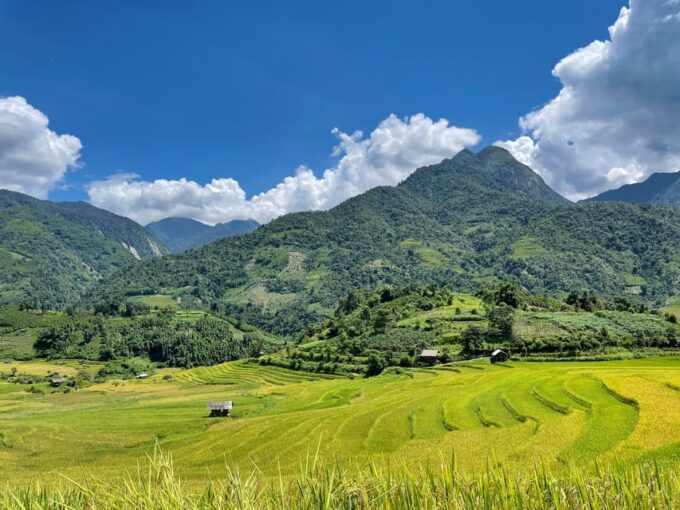 Sapa: Trekking Through Terraced Rice Fields & Valley 1 Day - Key Stops and Activities