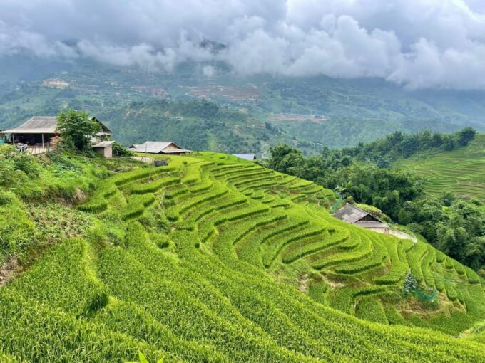 Sapa: Trekking Through Terraced Rice Fields & Valley 1 Day - Transportation and Lunch