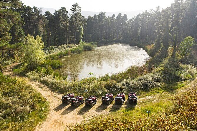 Sapanca and Masukiye from Istanbul with Lunch and Hotel pickup - An In-Depth Look at the Tour Itinerary
