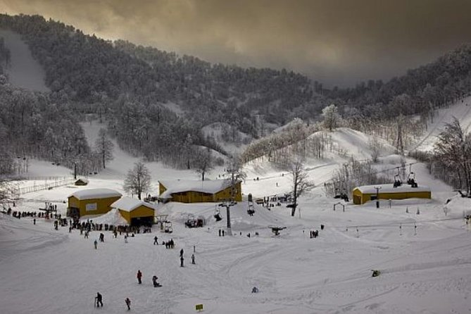 Sapanca and Zoo Private Tour From Istanbul - VIP Minivan - Best Quality - Relaxation at Sapanca Lake